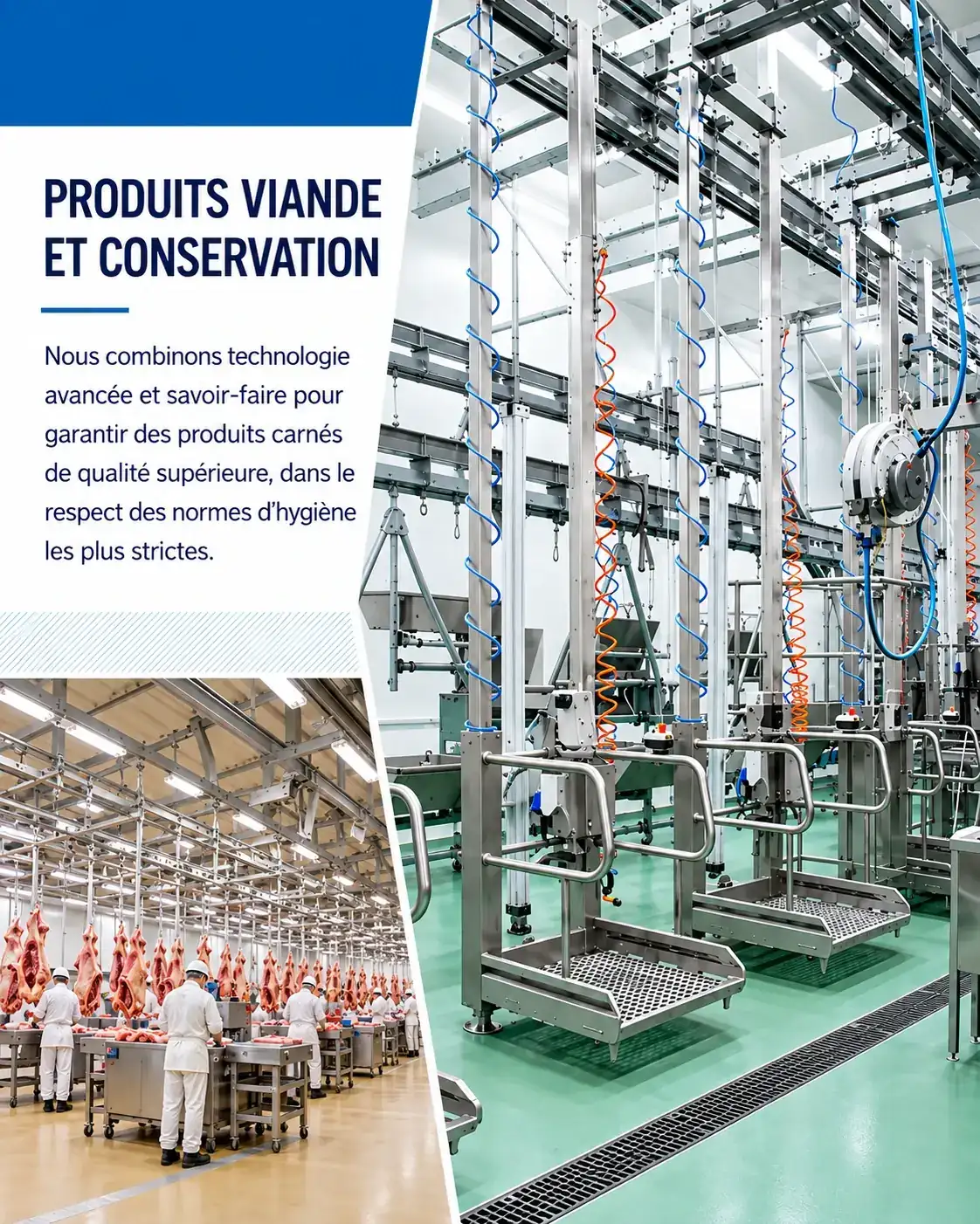 Agro-Industriel — produits viande et conservation